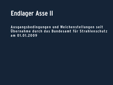 BfS Bericht Nr. 18, 2009 BfS Bericht Nr. 18, 2009