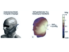 grafische Darstellung von SAR-Werten am Kopf grafische Darstellung von SAR-Werten am Kopf