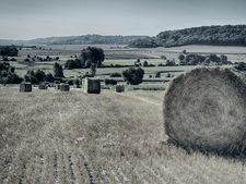 Blick über Felder mit Ernte Blick über Felder mit Ernte