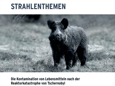 Die Kontamination von Lebensmitteln nach der Reaktorkatastrophe von Tschernobyl Die Kontamination von Lebensmitteln nach der Reaktorkatastrophe von Tschernobyl