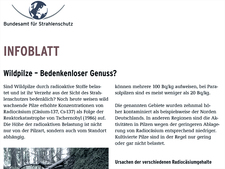 Wildpilze – Bedenkenloser Genuss? Wildpilze – Bedenkenloser Genuss?