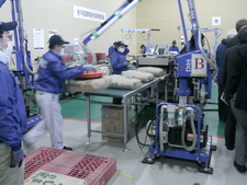 Beschäftigte mit Mundschutz kontrollieren in Fukushima Reissäcke auf Kontamination