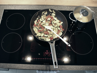 induction hob induction hob