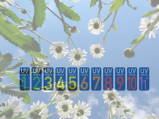 Blick in den Himmel durch Blumen und UV-Index