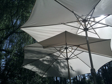 Umbrellas under trees in the sun