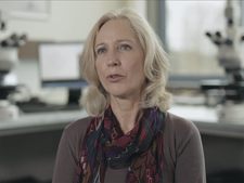 Dr. Ulrike Kulka (BfS)