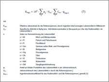 zeigt Formel 7 zeigt Formel 7