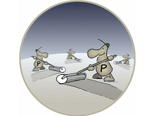 Pigmentzellen Pigmentzellen