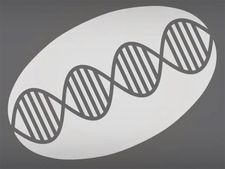 DNA-sequence DNA-sequence